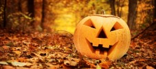 Halloween pumpkin in autumn forest